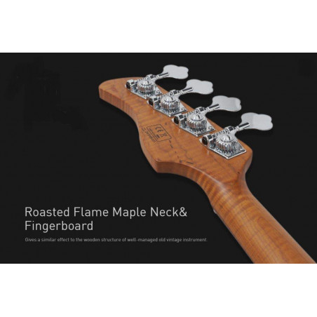 Compra V10 Swamp Ash 4St Natural online | MusicSales