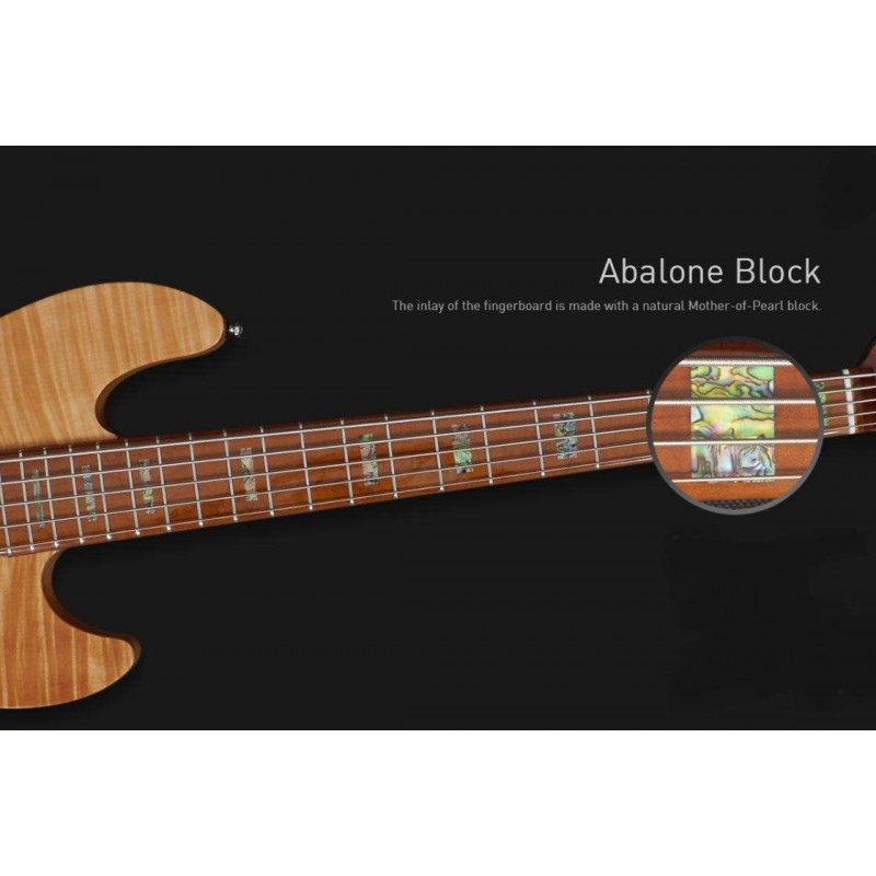 Compra V10 Swamp Ash 4St Natural online | MusicSales