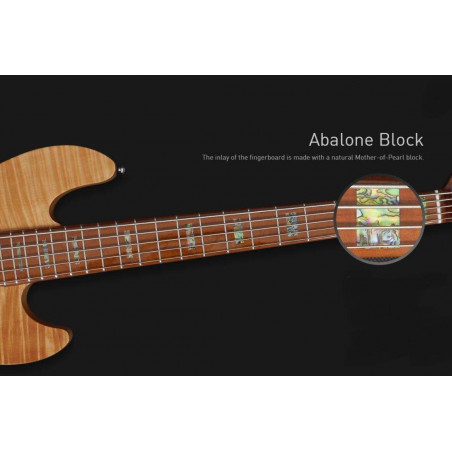 Compra V10 Swamp Ash 4St Natural online | MusicSales
