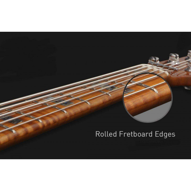 Compra V10 Swamp Ash 4St Natural online | MusicSales