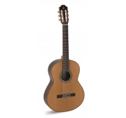 A10 Guitarra Clásica Artesanía...
                                