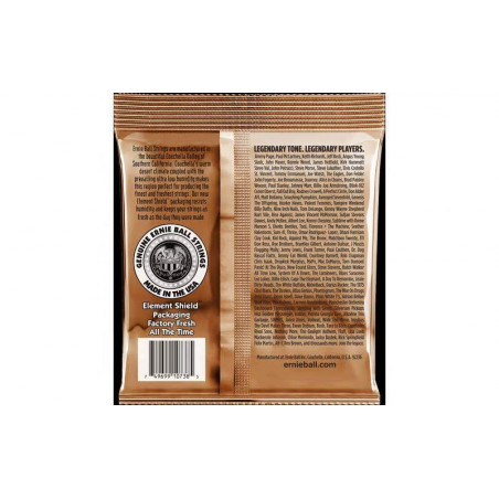 Juego Acústica 12 cuerdas Ernie Ball Earthwood 2152 phosphor bronze 10-48