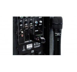U24H Micrófono inalambrico de mano USB 2