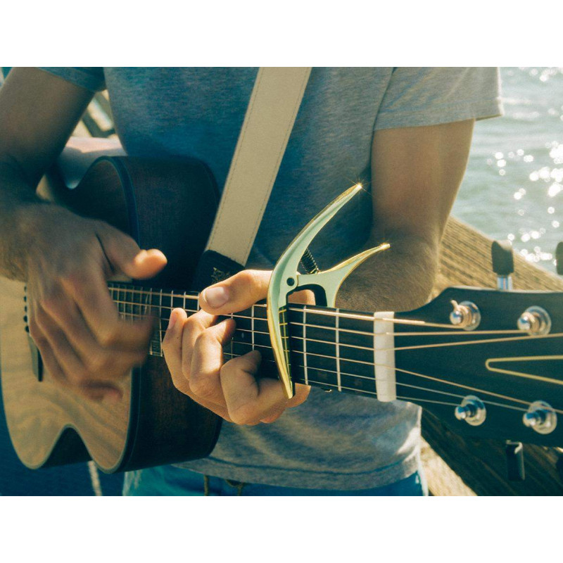 Compra Cejilla Axis Silver P09601 online | MusicSales