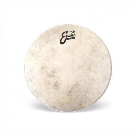 Kit para Caja de 14" Calftone Snare Tune Up Kit Kit para Caja de 14" Calftone Snare Tune Up Kit