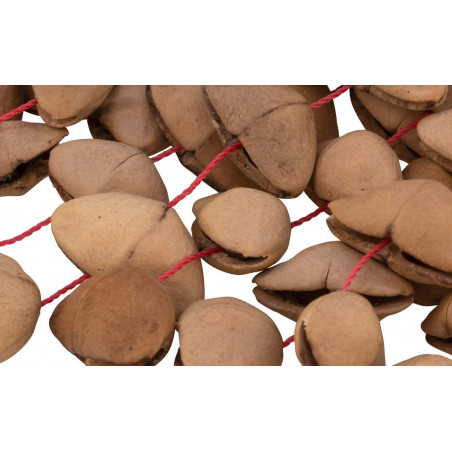 PBSHKENL Shaker Kenari Largo