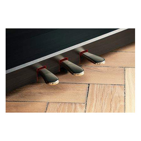 Kawai CN-301 B Piano Digital 88 teclas Negro Mate