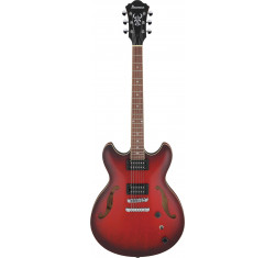 AS53-SRF Guitarra Eléctrica Artcore...
                                
