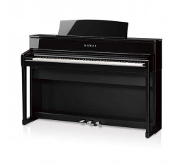 CA-701 PE Piano Digital Negro Pulido
                                