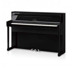 CA-901 PE Piano Digital Negro Pulido
                                
