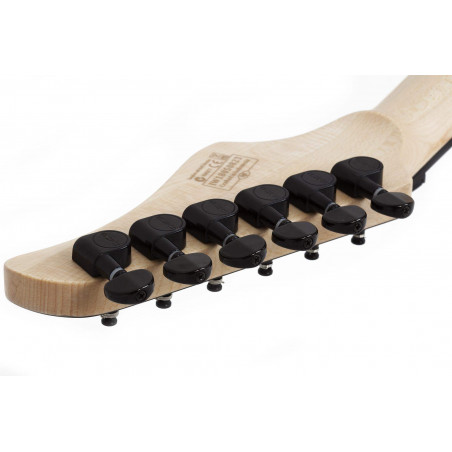 C-6 FR PRO ARB Guitarra Eléctrica Aurora Burst 