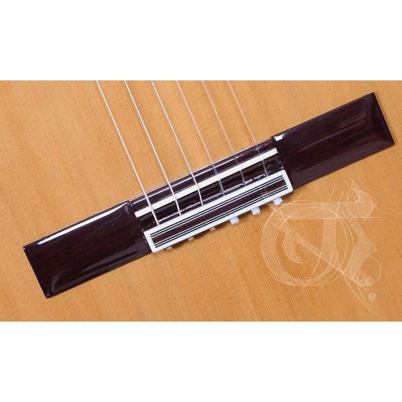 Compra Iberia Ziricote CTW E8 online | MusicSales