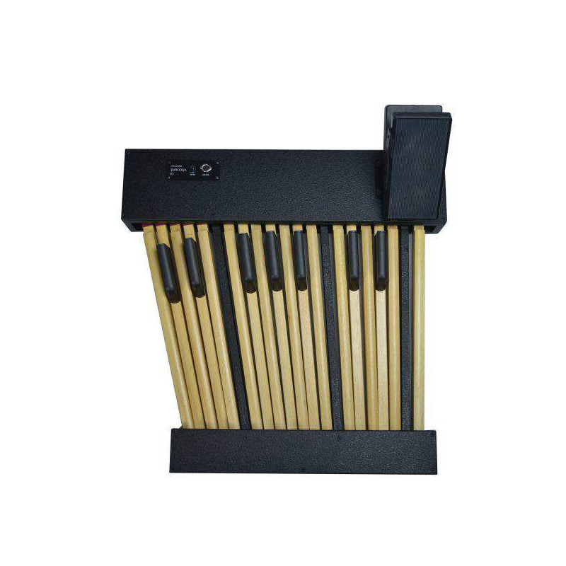 LEGEND PEDALBOARD 18 Pedalera Midi para órgano Legend