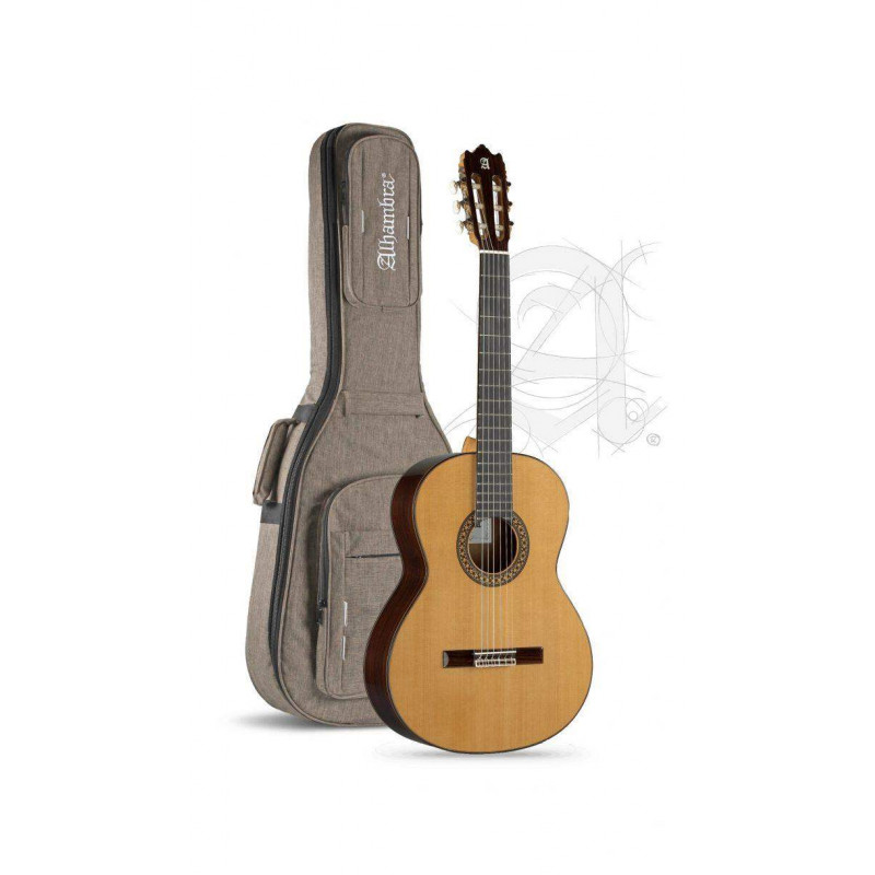 comprar Guitarra Clásica 4P de la serie Conservatorio con tapa de cedro macizo y aros y fondo de Palosanto de India.