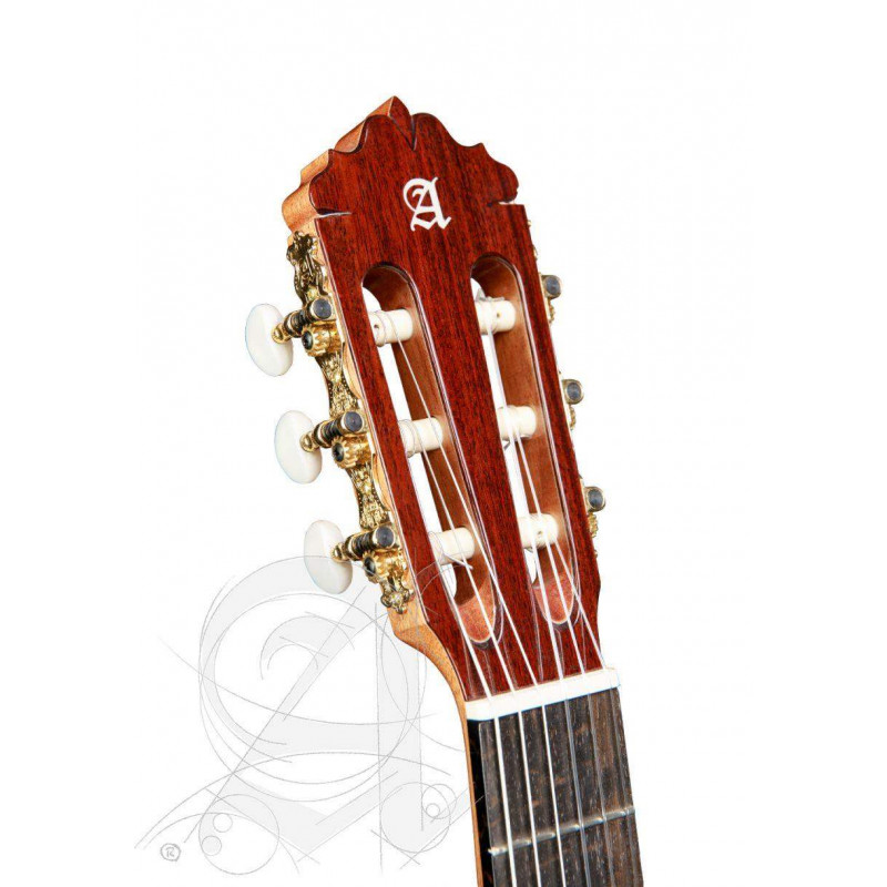 comprar Guitarra Clásica Alhambra 6 OLIVO de la serie Conservatorio con tapa de cedro macizo y aros y fondo de Olivo.