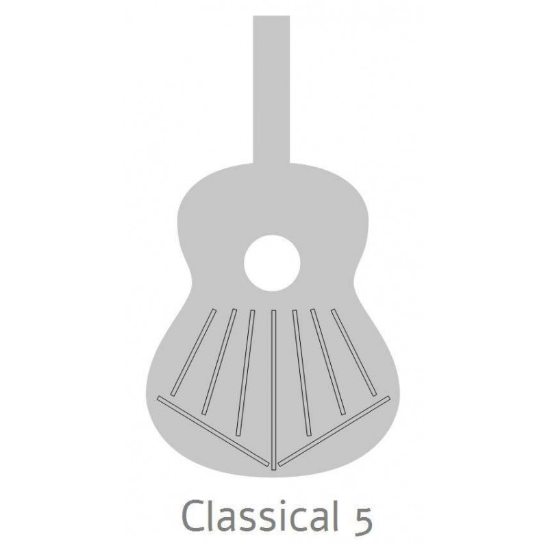 comprar Guitarra Clásica Alhambra 6 OLIVO de la serie Conservatorio con tapa de cedro macizo y aros y fondo de Olivo.