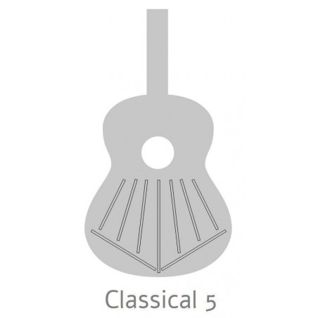 Alhambra 6 EBANO BLANCO Guitarra Clásica con funda