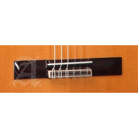 Compra 3F-CT-E1 Flamenco online | MusicSales