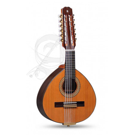 Bandurria Alhambra B-4P un instrumento tradicional con tapa de Cedro macizo y aros y fondo de Palosanto de India.