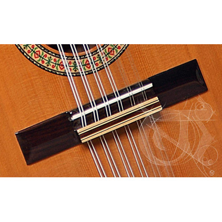 Bandurria Alhambra B-4P un instrumento tradicional con tapa de Cedro macizo y aros y fondo de Palosanto de India.