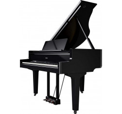 GP-9-PE Piano Digital de Cola Premium
                                