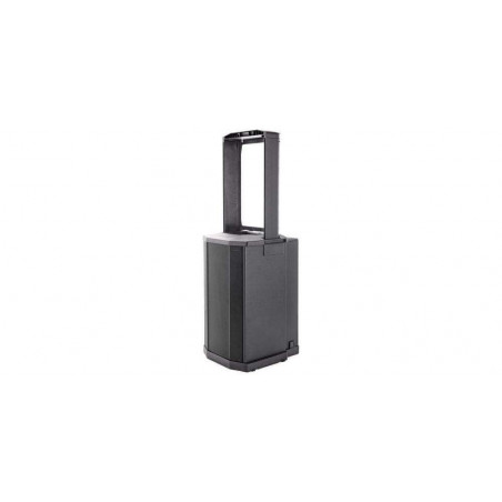 F1 Subwoofer Altavoz de graves F1 Subwoofer Altavoz de graves
