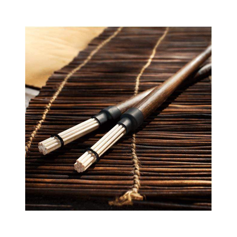 HOT RODS VF RUTE-X MEDIUM Escobillas Rods 