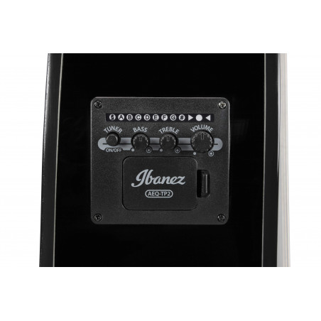 GA11CE-BK Guitarra Clásica Electrificada Negra 