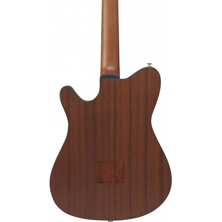 FRH10N-NTF Guitarra Clásica Electrificada 