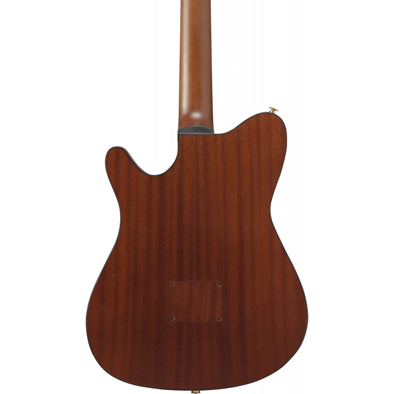 FRH10N-BSF Guitarra Clásica Electrificada 