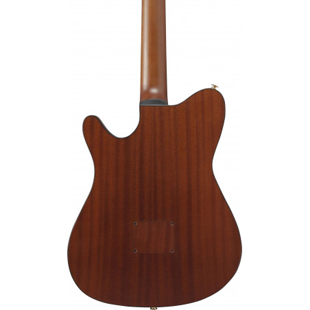 FRH10N-BSF Guitarra Clásica Electrificada 