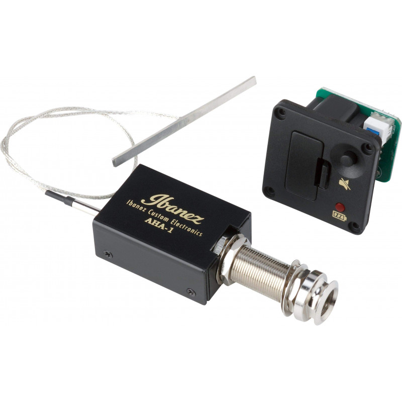 FRH10N-BSF Guitarra Clásica Electrificada 