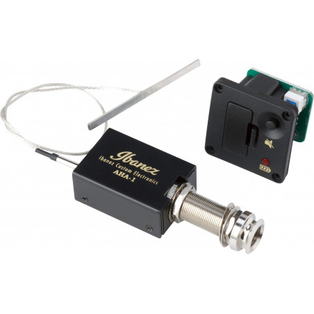 FRH10N-BSF Guitarra Clásica Electrificada 