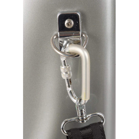 ALS401FG ESTUCHE Saxo Alto de Fibra de Vidrio