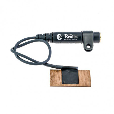 Pastilla David Gage The Realist madera para contrabajo