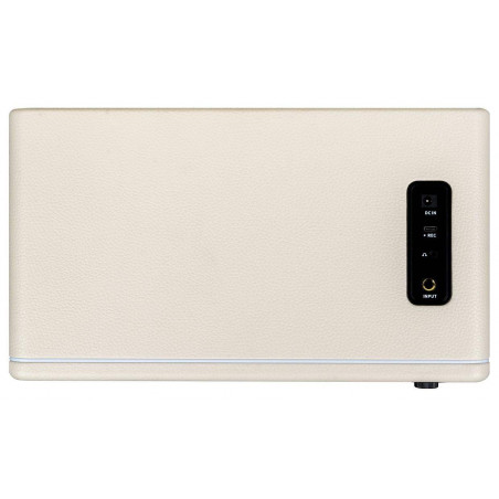 MOOER HORNET 30i WHITE Amplificador de Modelado Digital Guitarra