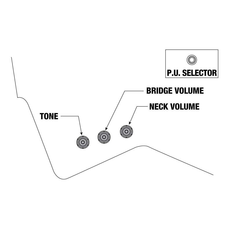 PS60-GSL Guitarra Eléctrica PAUL STANLEY Signature
