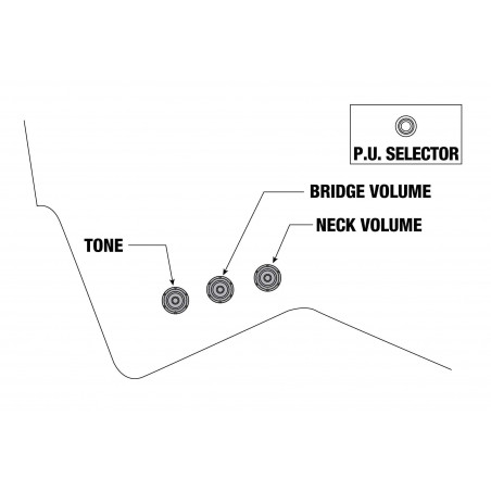 PS60-GSL Guitarra Eléctrica PAUL STANLEY Signature