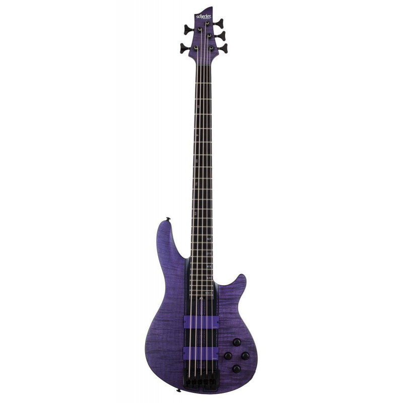 C-5 GT SATIN TRANS PURPLE Bajo Eléctrico 5 Cuerdas