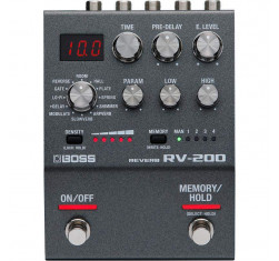 RV-200 Pedal Reverb 
                                