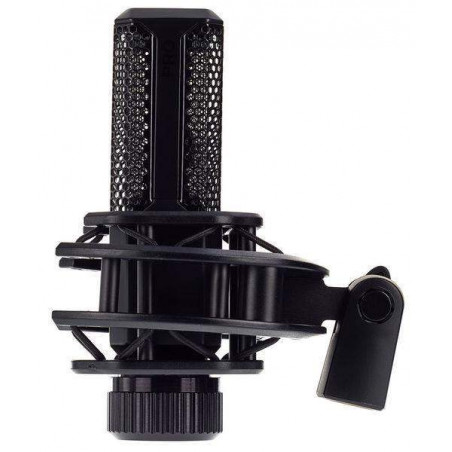 LEWIIT LCT 240 Pro Micrófono Condensador Cardiode para Estudio.