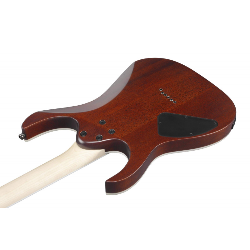 RG421S-SEM Guitarra Eléctrica RG