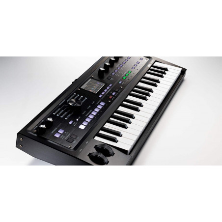 MICROKORG MBK LTD Teclado Sintetizador/Vocoder Edición Ltda