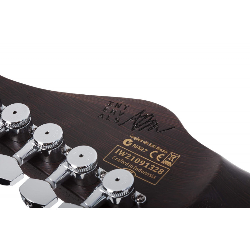 AARON MARSHALL AM-6 TREM AJ Guitarra Eléctrica Super Strato