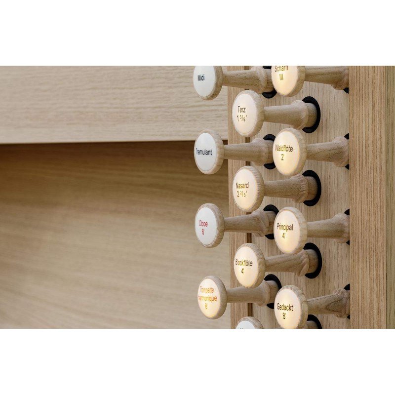 DOMUS P33 ROBLE OSCURO Organo Litúrgico 