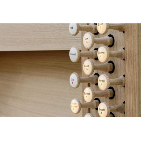 DOMUS P33 ROBLE OSCURO Organo Litúrgico 