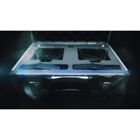 SE4100P Par de Micrófonos de condensador