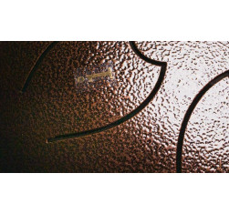 F-Zone STD1213N Steel Tongue Drum 12" 13 Notas Marron 2