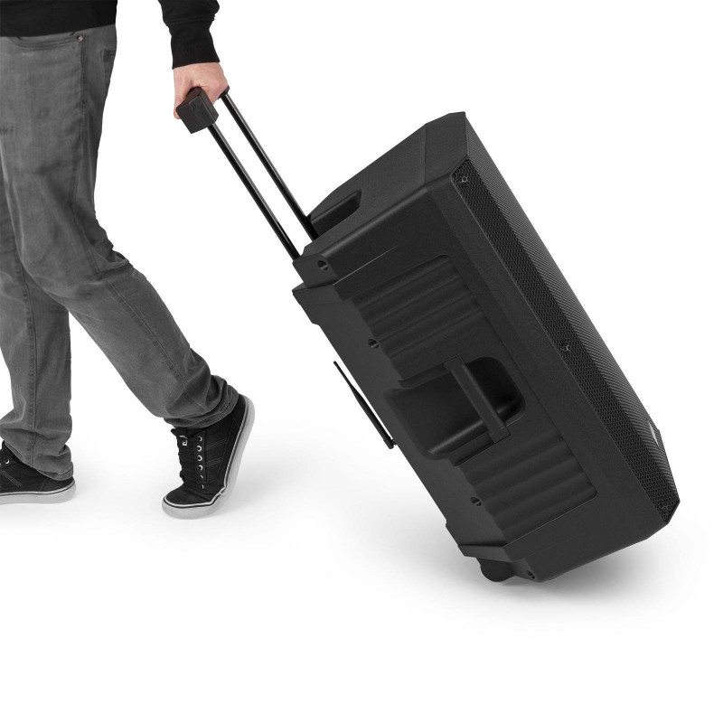 Vonyx VSA700 Sistema Sonido Portátil a Batería 15" con 2 Micros Inalámbricos