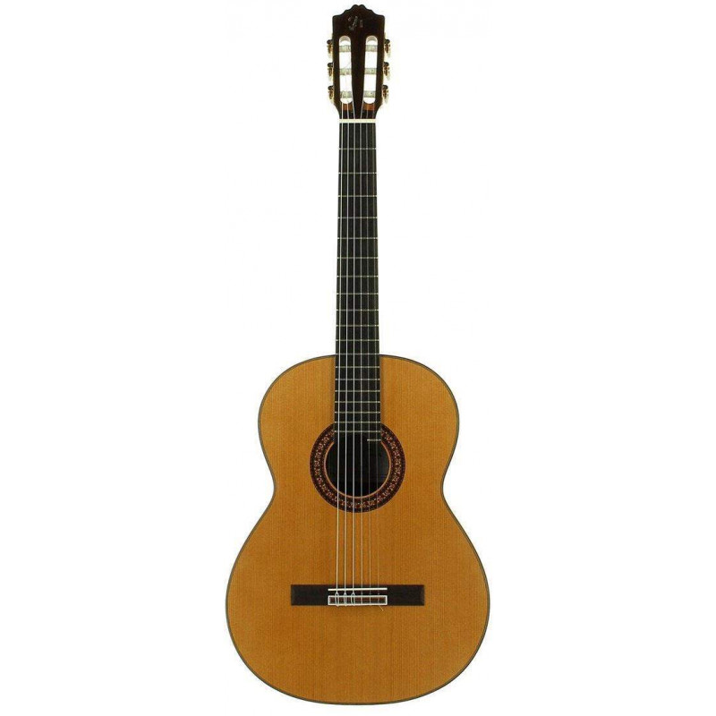 Comprar Guitarra clasica fabricada en España José Torres JTC-100 con tapa maciza de Cedro y aros y fondo de Ciricote.